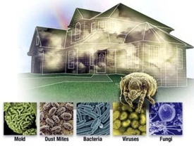 all homes have many invisible micro-organisms floating in the air, including a variety of molds, viruses, and bacteria